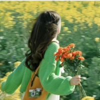 GreenVPN加速器的iOS版VPN用户shiya表示非常满意GreenVPN加速器的iOS版VPN。